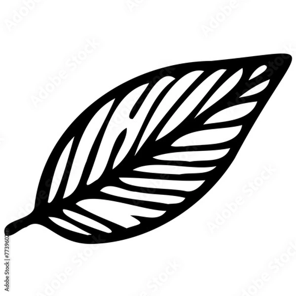 Fototapeta Hand drawn leaves line linear black strock Symbol visual illustration Botanical drawing. Minimal plant logo, meadow greenery, leaf and blooming flower abstract sketch element collection, linear rustic