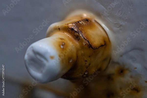 Fototapeta close up of a worm