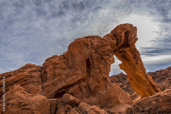 Obraz Back lit Elephant rock