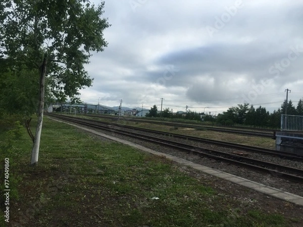 Fototapeta 故郷を思い出すローカル線