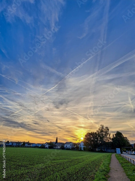 Obraz sunset over the field