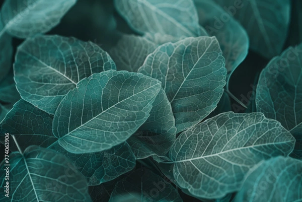 Fototapeta Verdant Botanical Backdrop: Close-Up of Textured Green Leaves