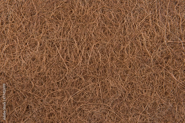 Obraz Włókno kokosowe