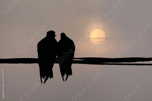 Obraz After the rain