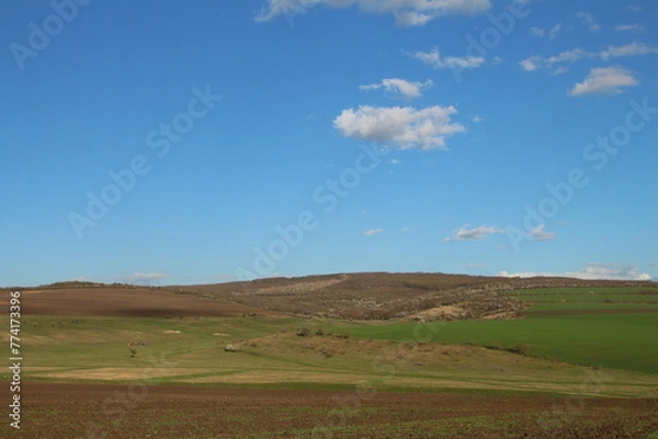 Fototapeta A field with grass and blue sky