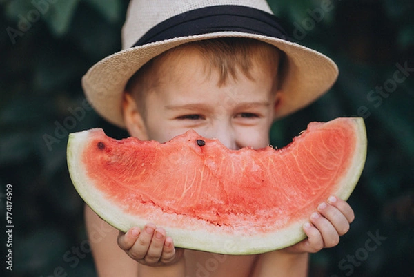 Obraz watermelon on a summer day