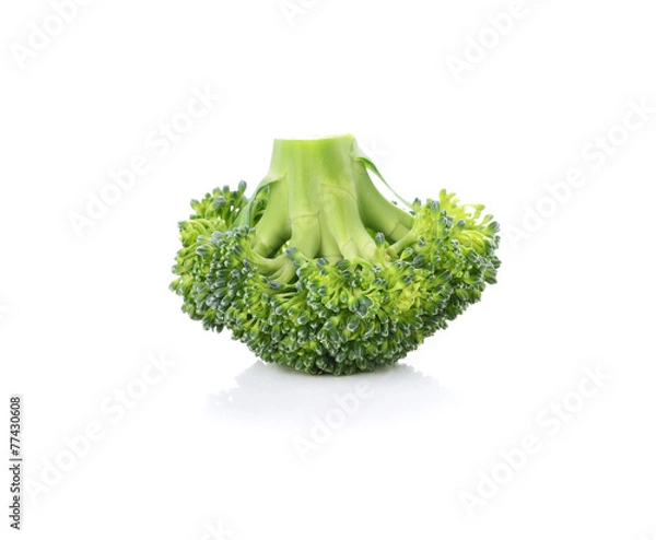 Obraz Broccoli isolated on white background