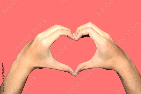 Obraz heart hand clipping paths