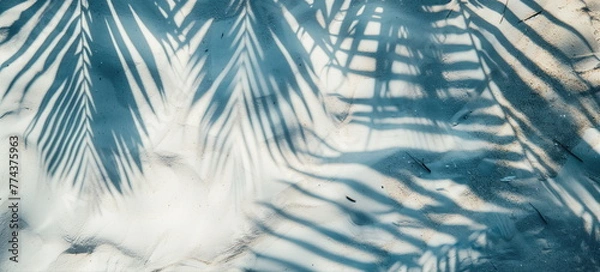 Fototapeta Top view of tropical leaf shadow on water surface. Shadow of palm leaves on white sand beach. Beautiful abstract background concept banner for summer vacation at the beach