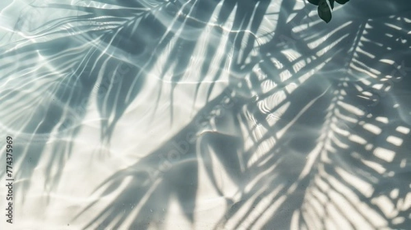 Fototapeta Top view of tropical leaf shadow on water surface. Shadow of palm leaves on white sand beach. Beautiful abstract background concept banner for summer vacation at the beach