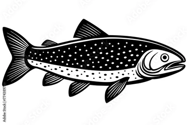 Obraz trout fish silhouette vector illustration