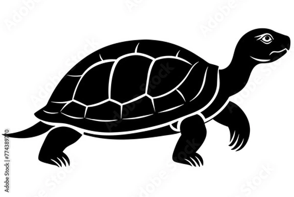 Obraz turtle silhouette vector illustration