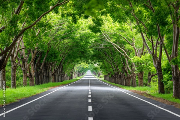Fototapeta An empty road surrounded by trees and grass