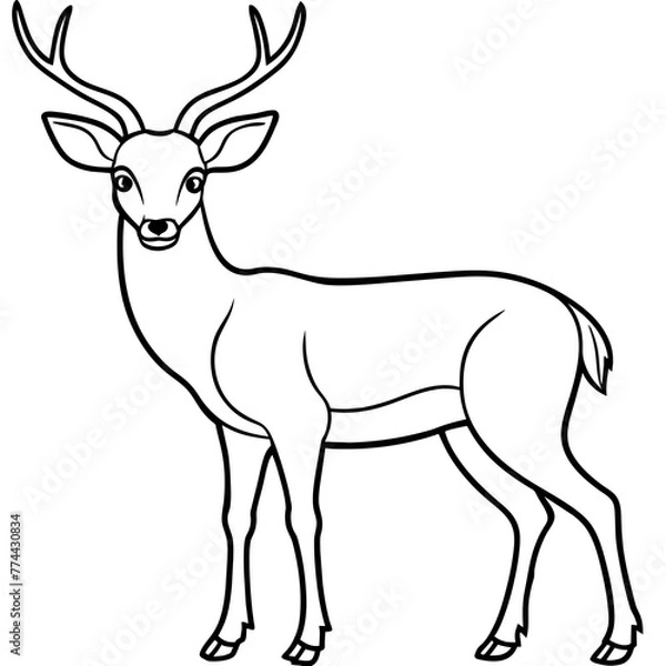 Fototapeta deer line art, silhouette vector illustration.