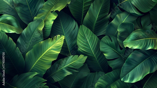 Fototapeta tropical banana leaf texture, large palm foliage nature dark green background,generative ai