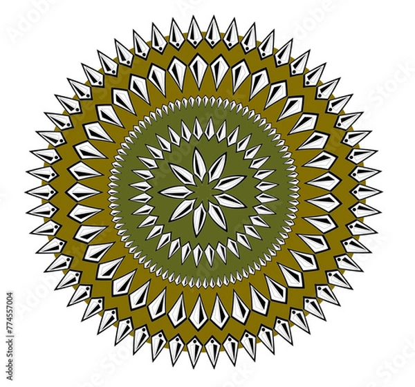 Obraz Beautiful floral pattern