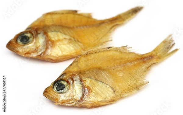 Obraz Dried Elongate glassy perchlet