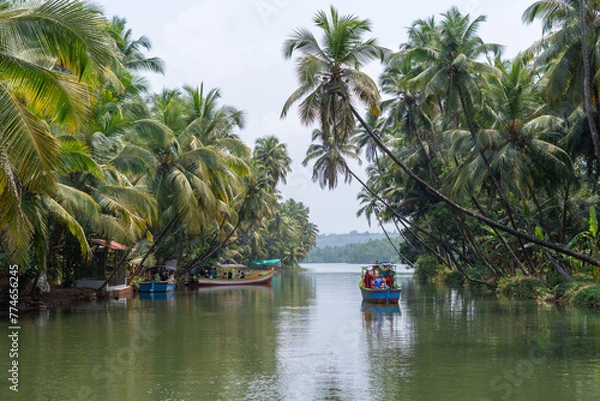 Fototapeta A scenic view of the Honnavar backwaters on the Sabarmati River, featuring lush green coconut palm trees lining the banks and colorful boats gliding through the calm water, creating a tranquil and pic