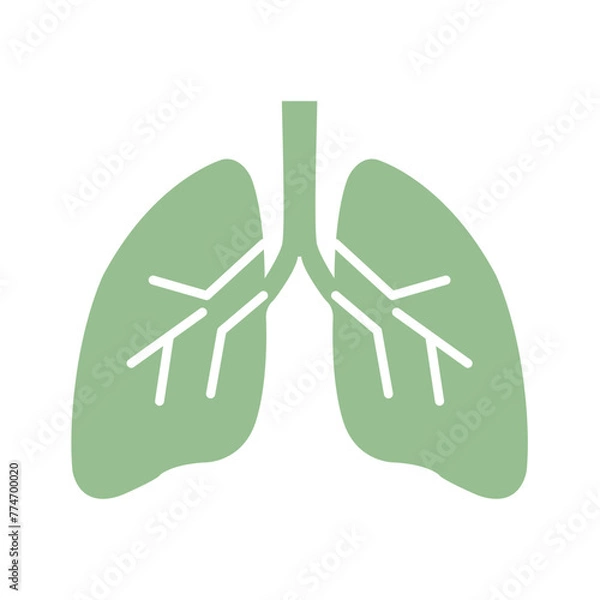 Fototapeta Vector icon of lungs on a white background. The vector icon of the lungs is green. Take care of your health. Flat vector design. Graphic illustration of eps 10