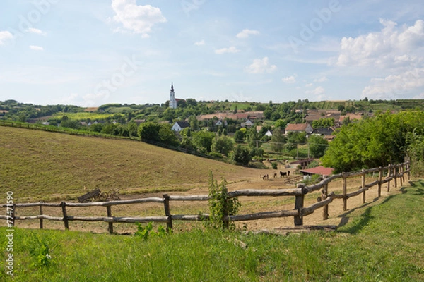 Obraz Hungarian landscape