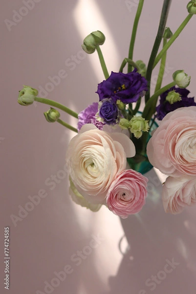 Fototapeta Ranunculus 