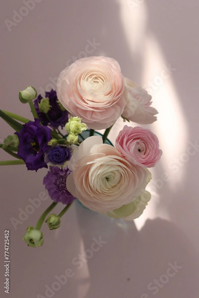 Fototapeta Ranunculus 