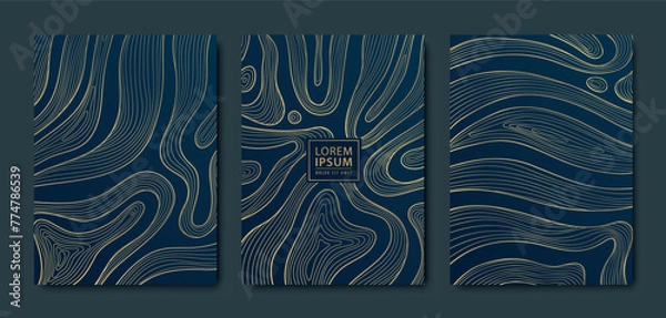 Fototapeta Vector set of gold line ribbons pattern, line organic shapes illustrations. Art deco geometric texture, wave curve templates. Elegant banners, cards, wallpapers