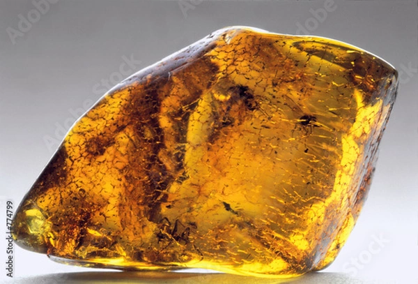 Obraz Bursztyn, w tym 7