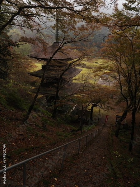 Obraz 霧に包まれた三重塔