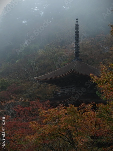 Obraz 霧に包まれた三重塔