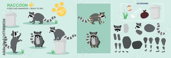 Obraz LC_Racoon_01