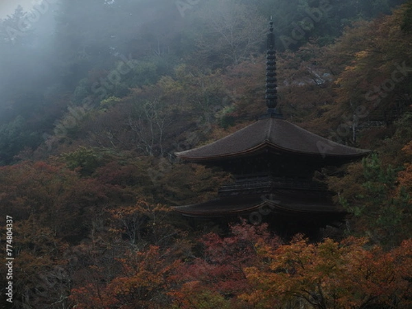 Fototapeta 霧に包まれた三重塔