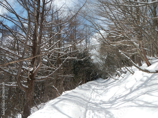 Obraz 安達太良山の道