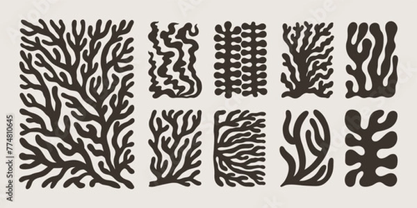 Fototapeta Matisse Coral Abstract Shape. Vector Poster Organic Art Poster. Modern Pattern Leaf. Modern Floral Prints in Contemporary Minimal Style. Trendy Boho Illustrations in Beige and Black Colors