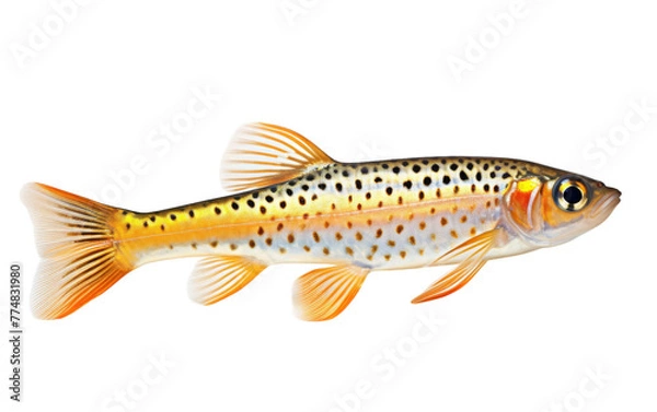 Fototapeta A vibrant yellow and black fish swimming gracefully on a clean white background