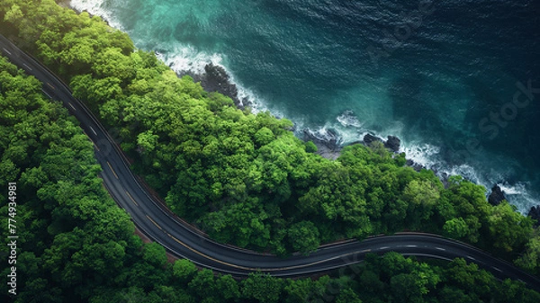 Fototapeta Aerial view of the asphalt road through dense green forest near the ocean, Beautiful natural background