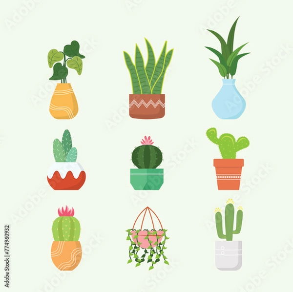 Obraz Houseplant Vector Collection Such as Succulents, Cactus, Caladium, Sansevieria, Heart Leaf Philodendron, etc