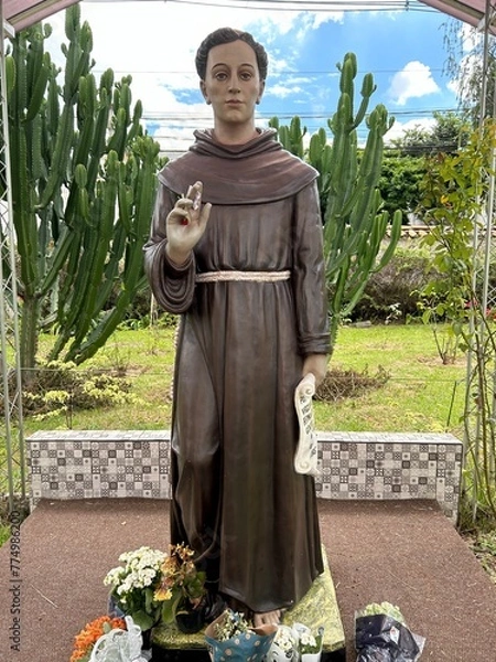 Obraz Imagem de São Frei Galvão