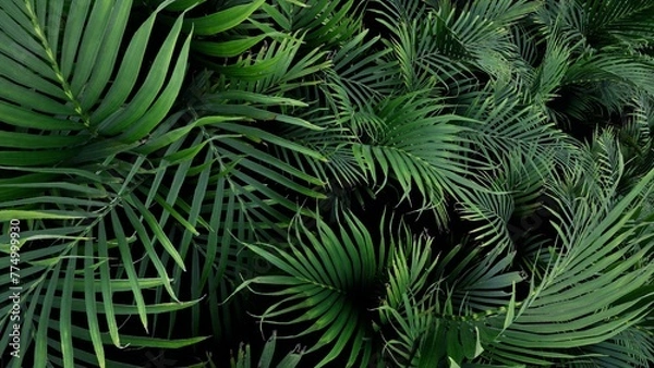 Obraz 3D Render Palm Tree Nature Landscape