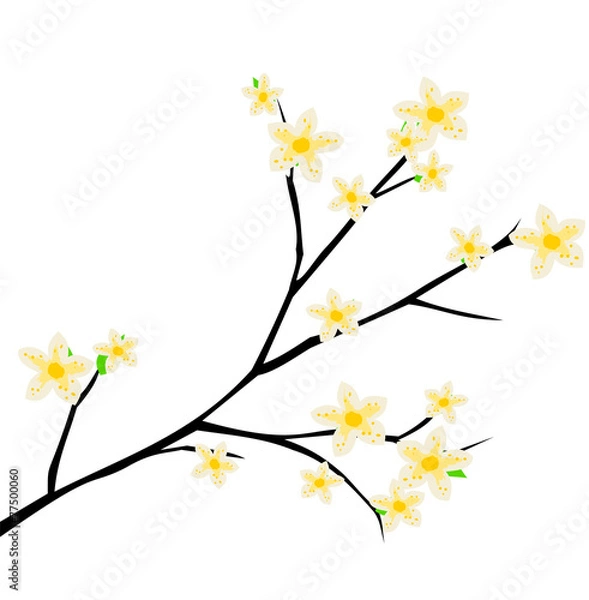 Fototapeta spring branch with flowers blooming vector