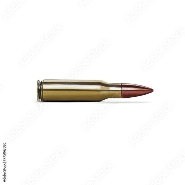 Obraz bullet on a white background