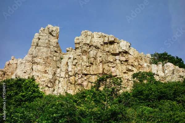 Fototapeta High cliff over the trees