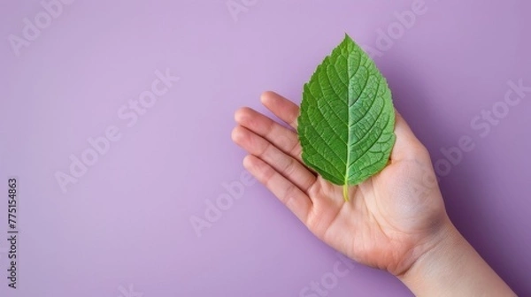 Obraz Hand presenting a green leaf on purple backdrop for World Environment Day to signify eco awareness