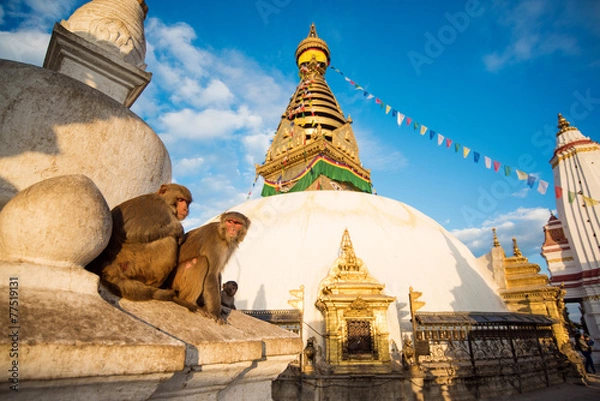 Fototapeta View of Swayambhunath Kathmandu, Nepal
