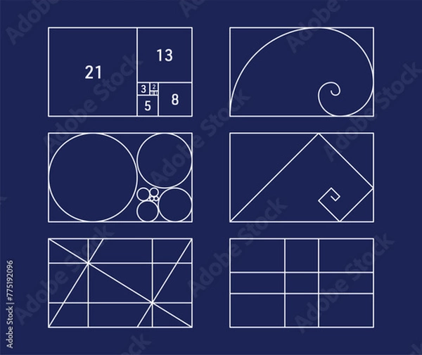 Fototapeta Vector golden ratio ideal symmetry layout set