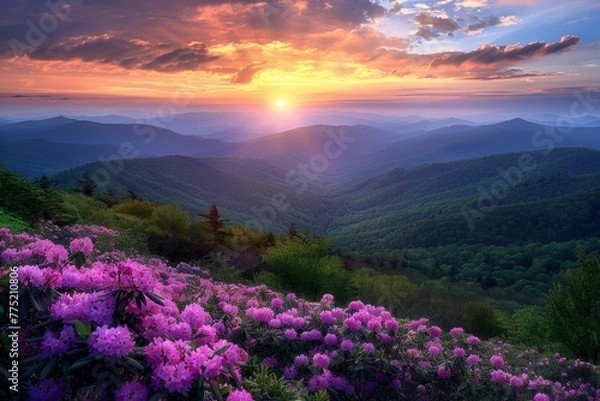 Fototapeta Sun Setting Over Mountains and Flowers