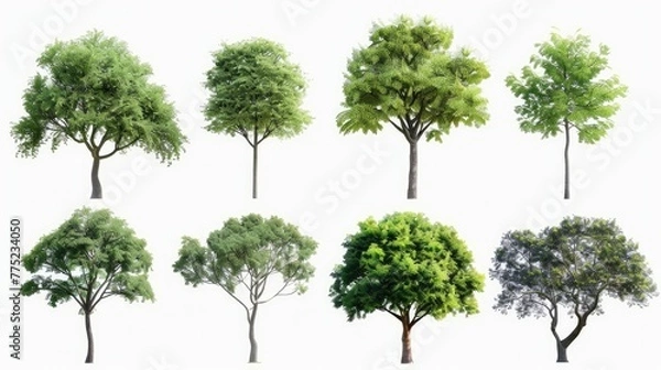 Fototapeta Tree set collection, isolated on white backgound Generative AI
