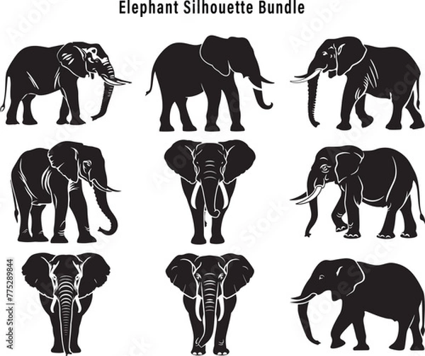 Obraz Elephant Silhouette Bundle