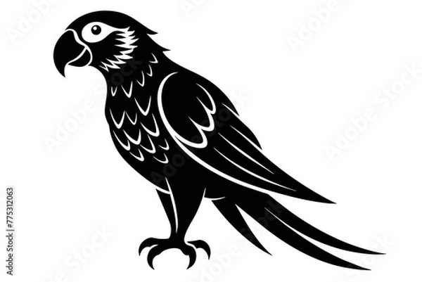 Fototapeta silhouette color image, Parrot bird vector illustration,white background