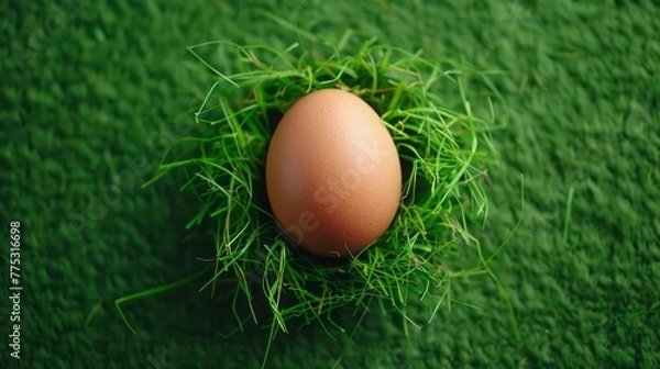 Obraz egg on the grass.